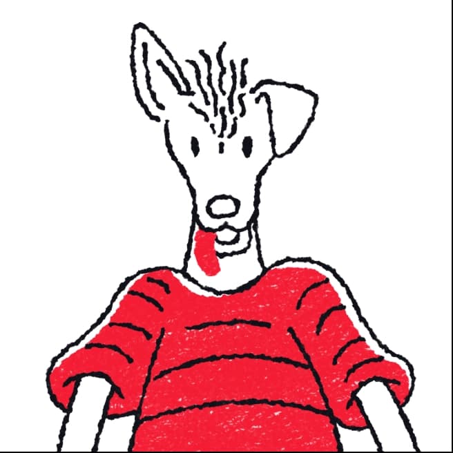 Splinter